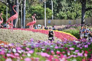 BIB: 
                            <button type="button" onclick="openModal(27803472)" class="btn btn-primary btn-sm float-right btn-popup" data-toggle="modal" data-target=".modal-high-quality">
                        <i class="fas fa-shopping-cart"></i> Add to Cart
                    </button>
                                            <button type="button" onclick="isThisMe(27803472, true)" class="btn btn-success btn-sm float-right btn-popup btn-isme hidden" data-toggle="tooltip" data-placement="bottom" title="นี่คือรูปของคุณใช่ไหม คลิกที่นี่เพื่อเอาเข้าอัลบั้ม">
                        <i class="fas fa-plus"></i> Add to album
                    </button>
                    <button type="button" onclick="isThisMe(27803472, false)" class="btn btn-warning btn-sm float-right btn-popup btn-isnotme hidden">
                        <i class="fas fa-ban"></i> Remove from album
                    </button>